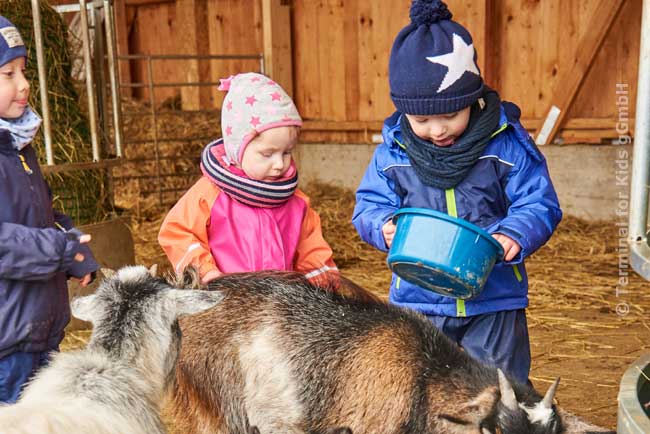 Wir kaufen einen Bauernhof … oder einfach tiergestützte Pädagogik